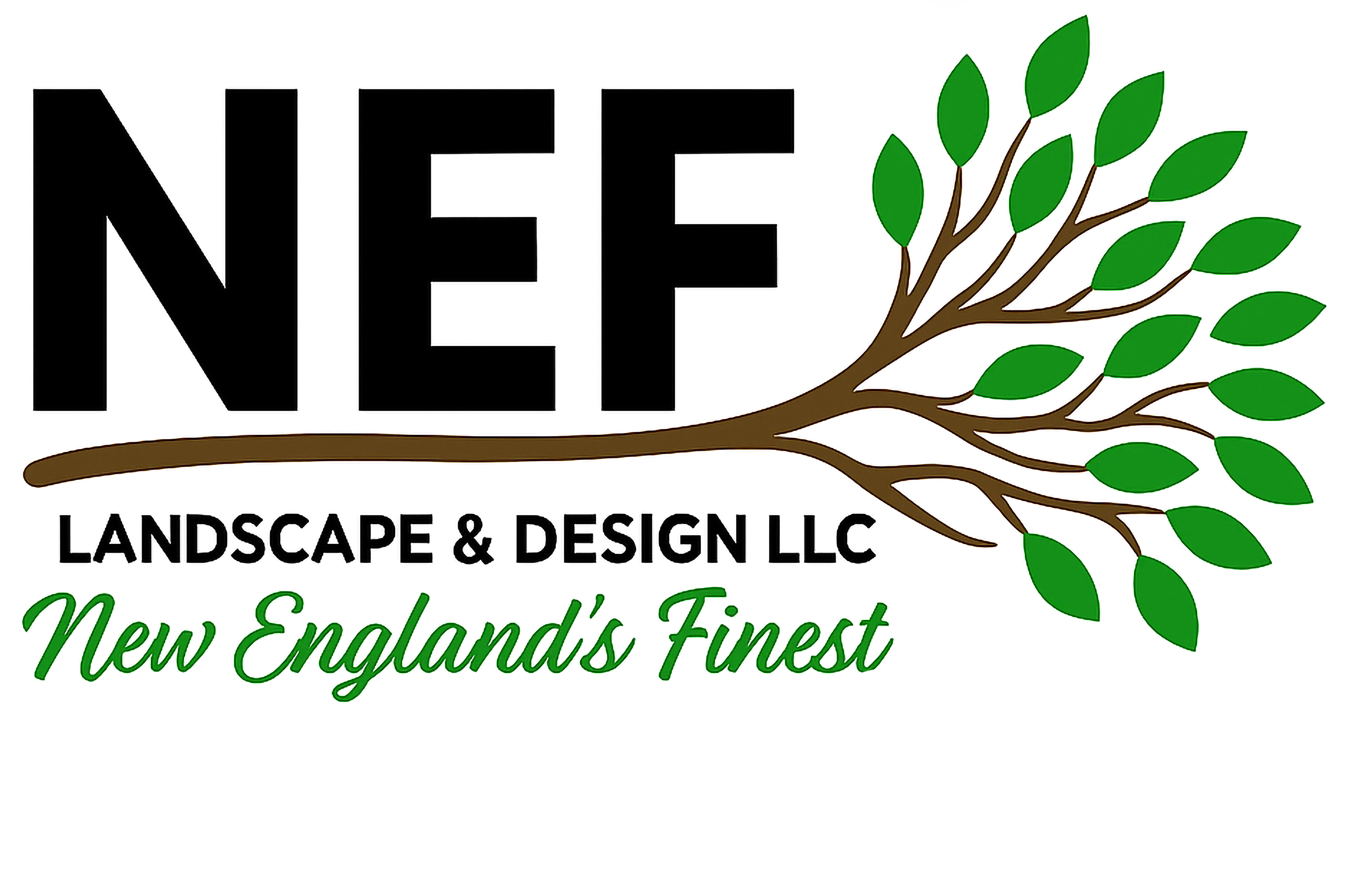 Tree Logo