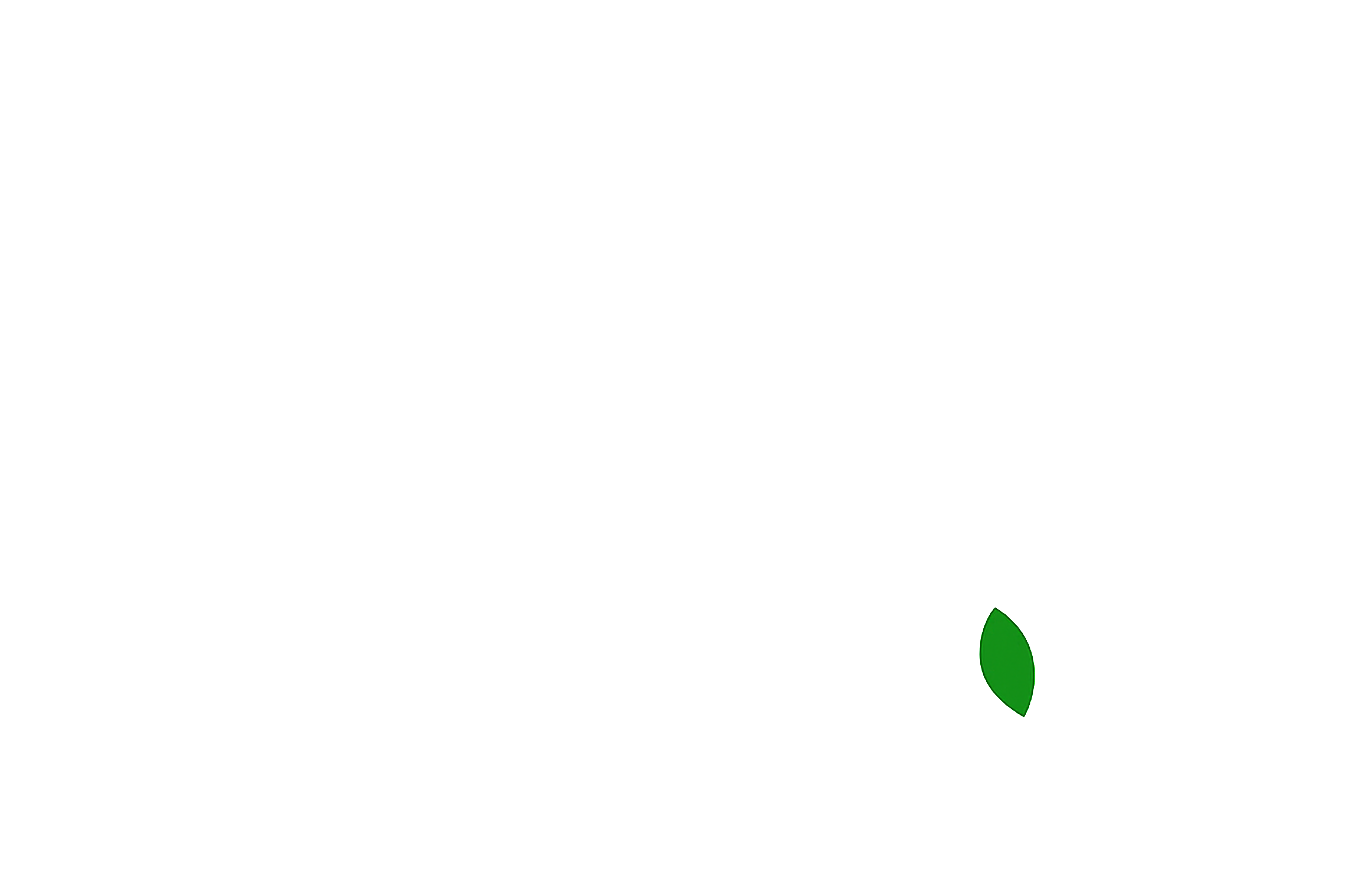 Leaf 1