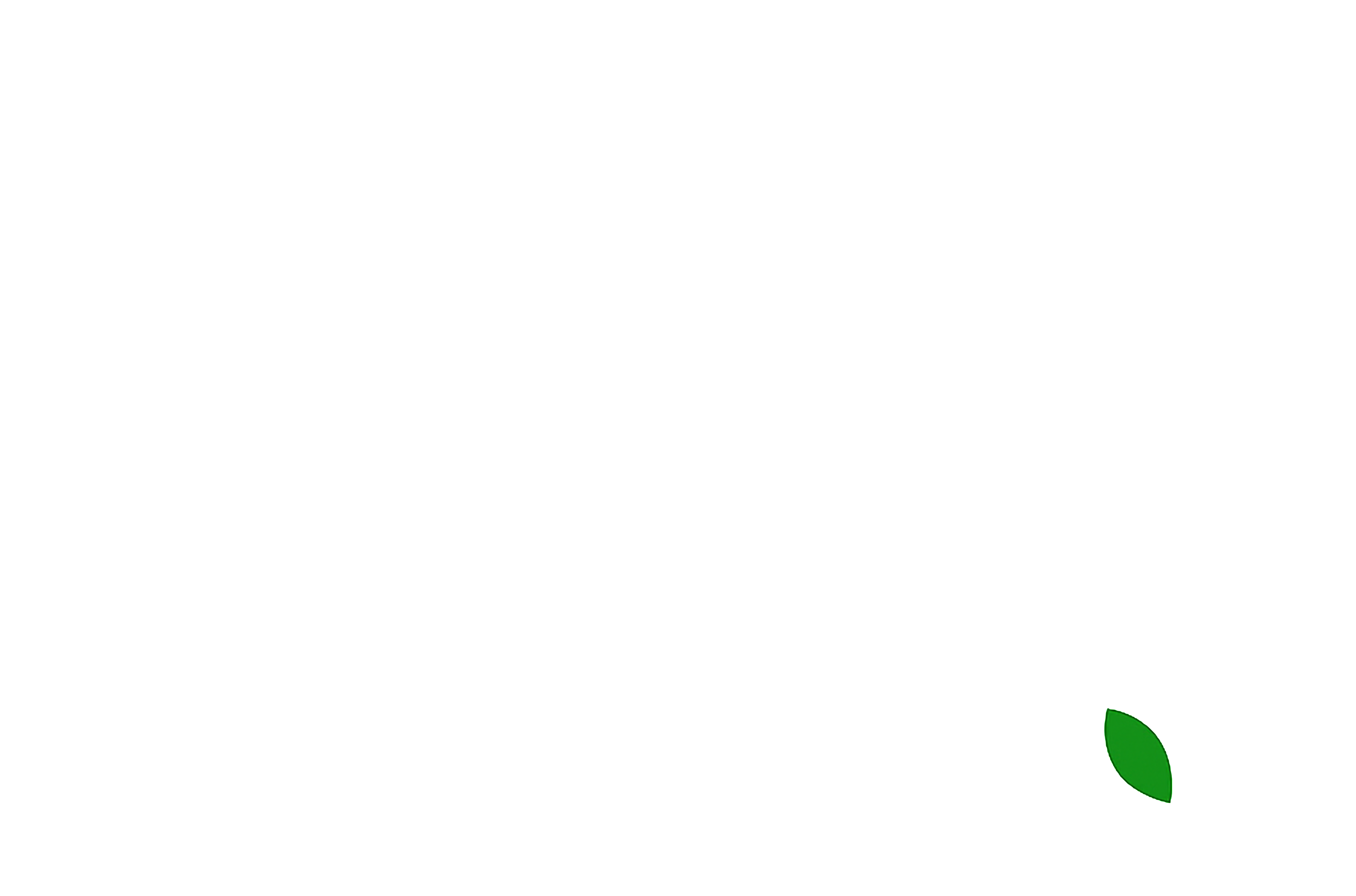 Leaf 2