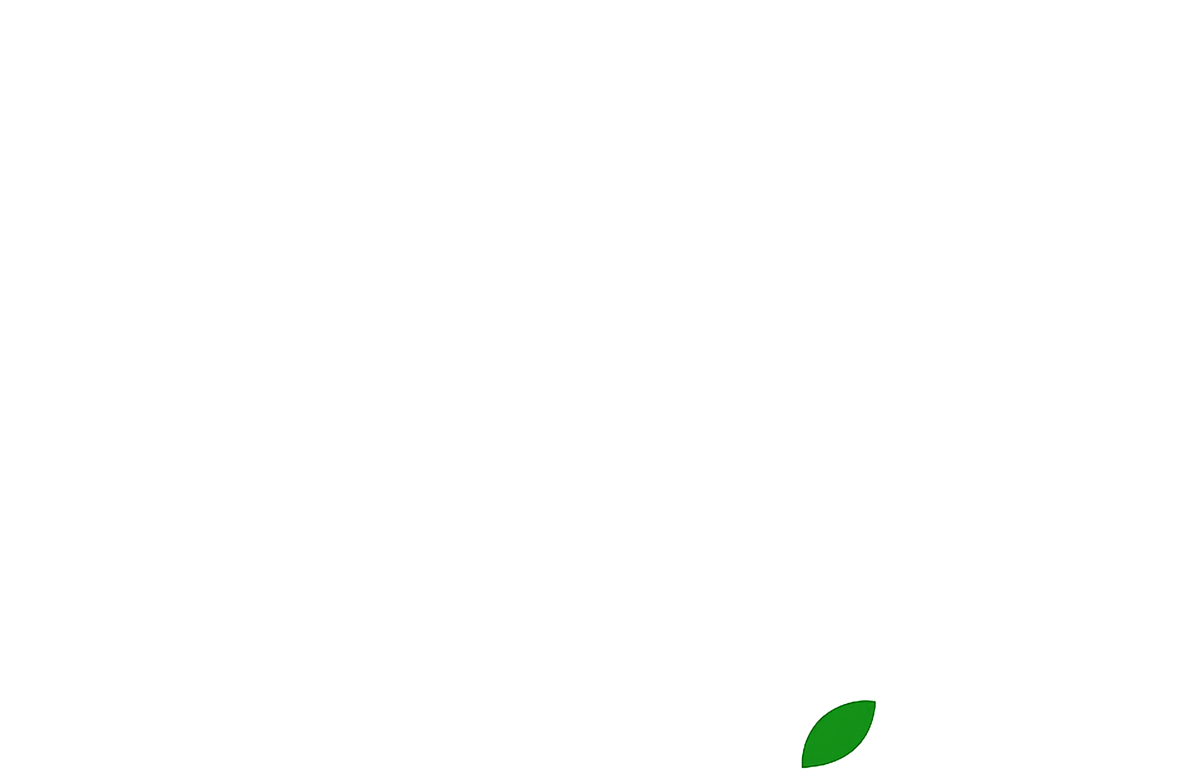 Leaf 3